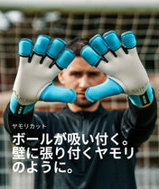 Rebel 2.0 Sky Blue (FP)